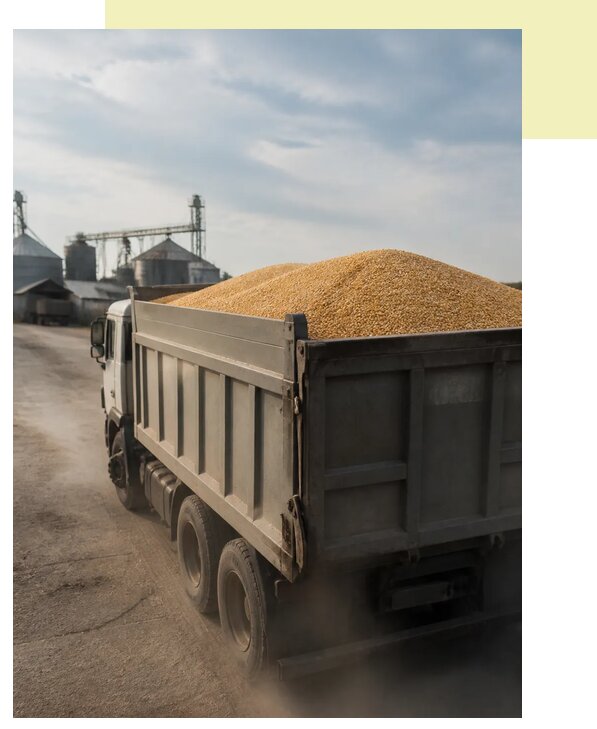 Перевозка сельхозпродукции навалом в Полевскую по цене от 3080 р. | Агросервис-Плв